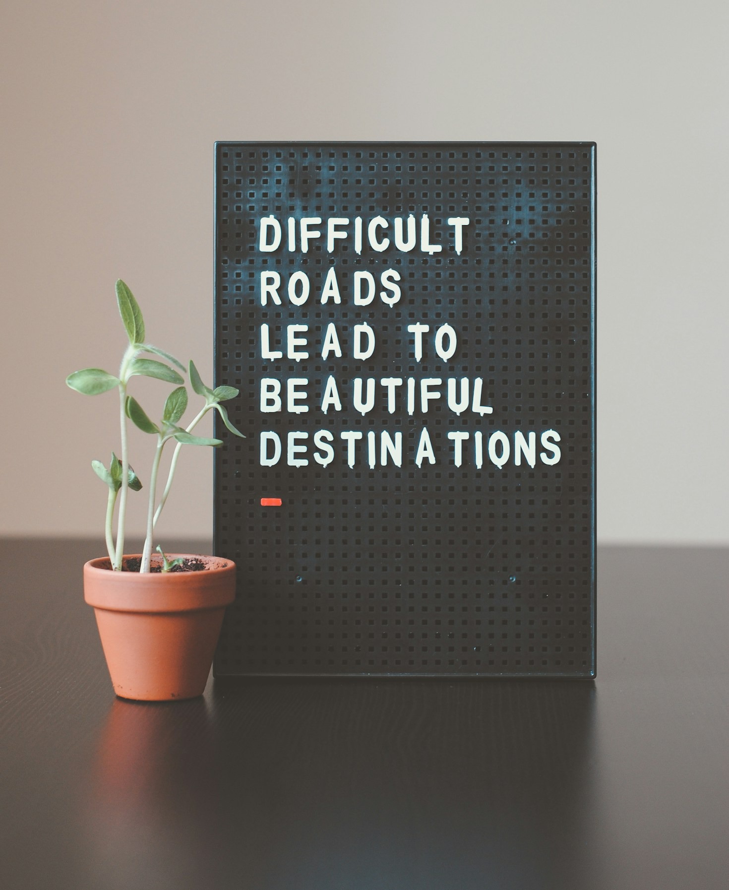 Finding Your Strength After a Career U-Turn